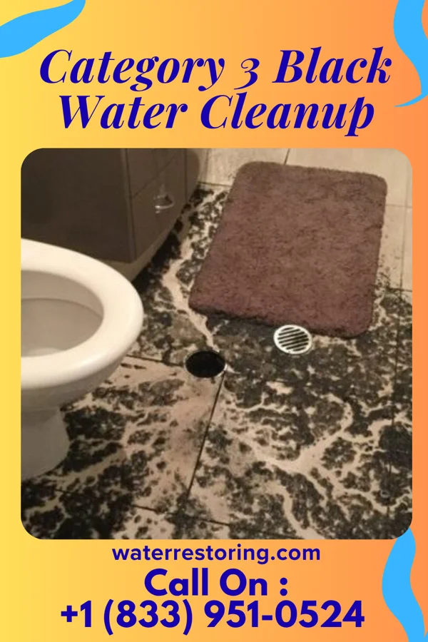 Category 3 Black Water Cleanup in Brent, OK